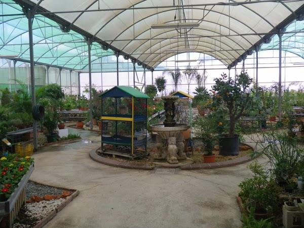 Imagen 119 Vivero Arroyo de la Miel foto