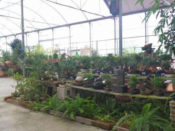 Imagen 124 Vivero Arroyo de la Miel foto