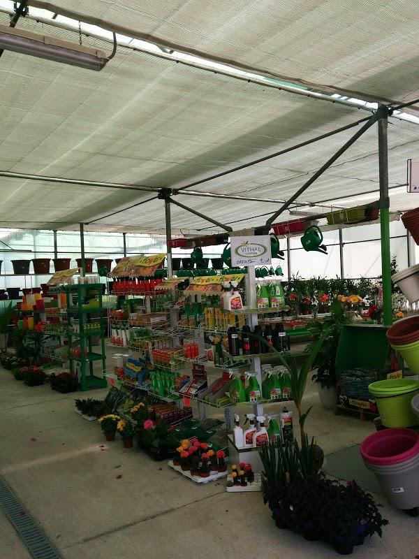 Imagen 146 Vivero Arroyo de la Miel foto