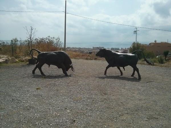 Imagen 149 Vivero Arroyo de la Miel foto