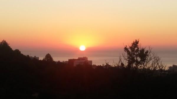 Imagen 158 Vivero Arroyo de la Miel foto