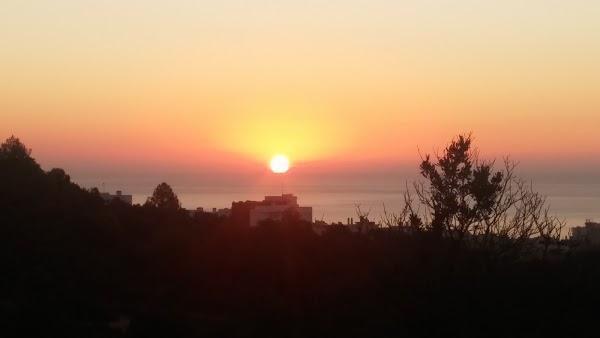 Imagen 206 Vivero Arroyo de la Miel foto