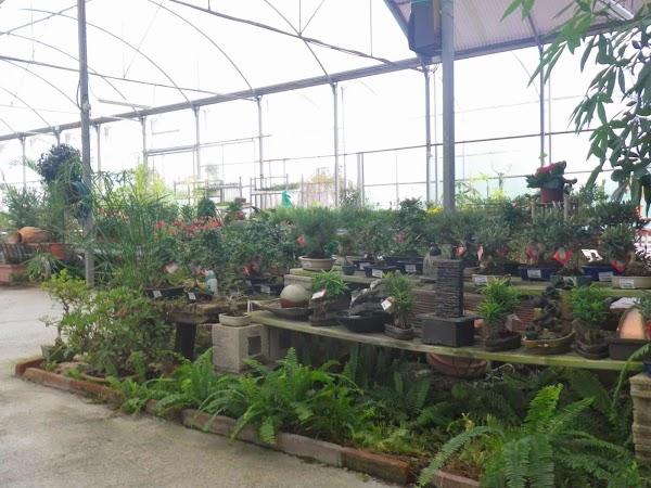 Imagen 24 Vivero Arroyo de la Miel foto