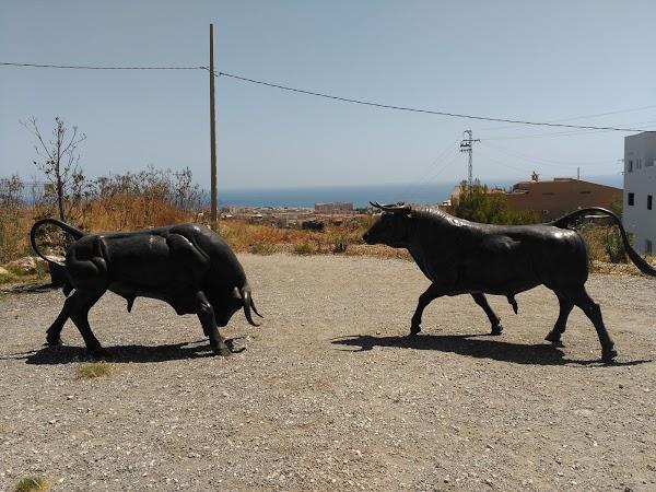 Imagen 270 Vivero Arroyo de la Miel foto