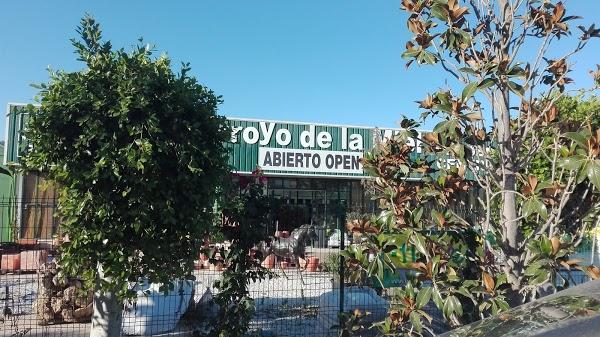 Imagen 276 Vivero Arroyo de la Miel foto