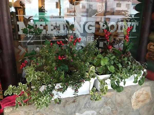 Imagen 277 Vivero Arroyo de la Miel foto