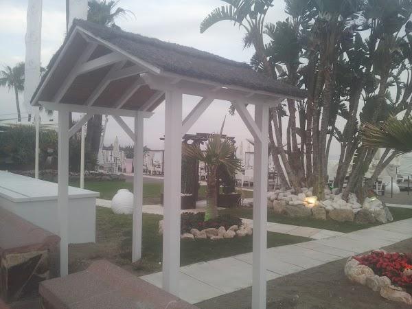 Imagen 279 Vivero Arroyo de la Miel foto