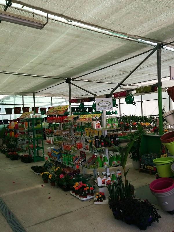 Imagen 286 Vivero Arroyo de la Miel foto