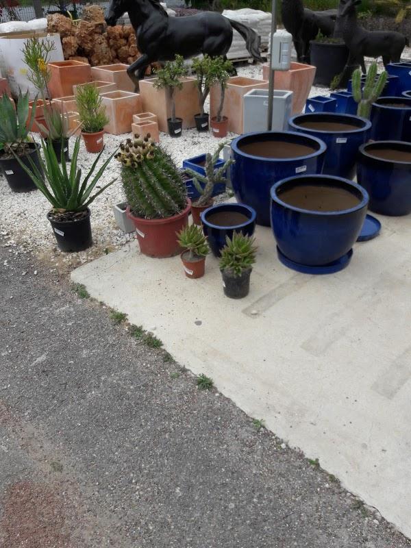 Imagen 289 Vivero Arroyo de la Miel foto