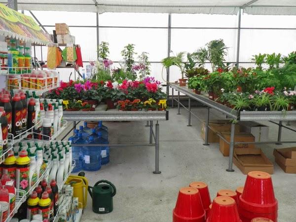 Imagen 35 Vivero Arroyo de la Miel foto