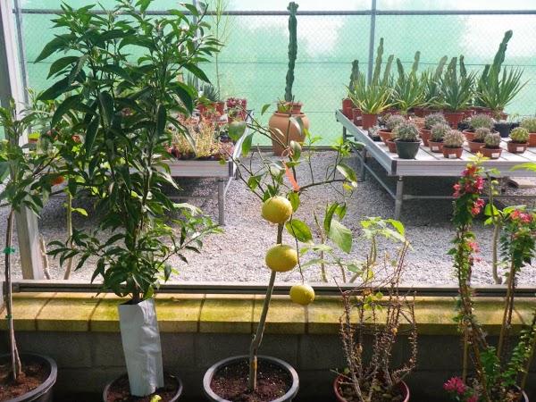 Imagen 36 Vivero Arroyo de la Miel foto