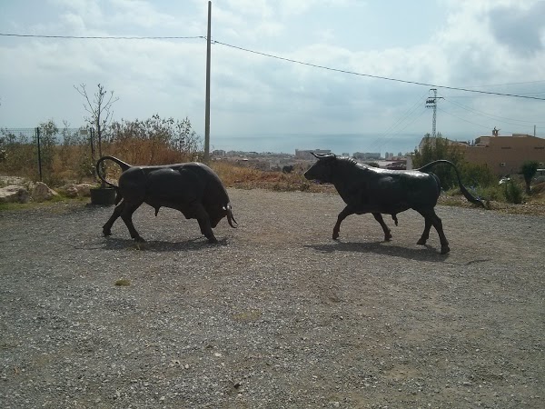 Imagen 351 Vivero Arroyo de la Miel foto