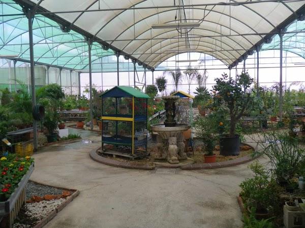 Imagen 66 Vivero Arroyo de la Miel foto