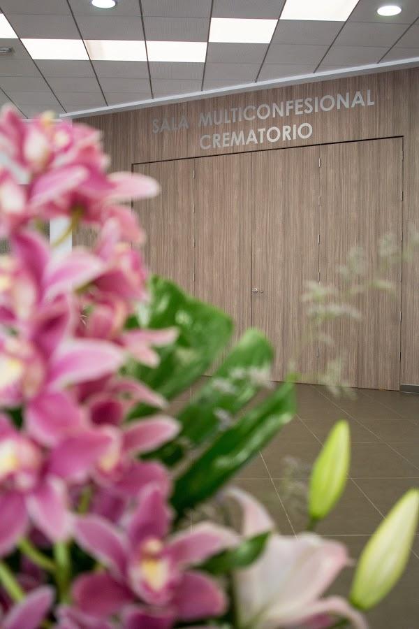 Imagen 106 Final Games foto