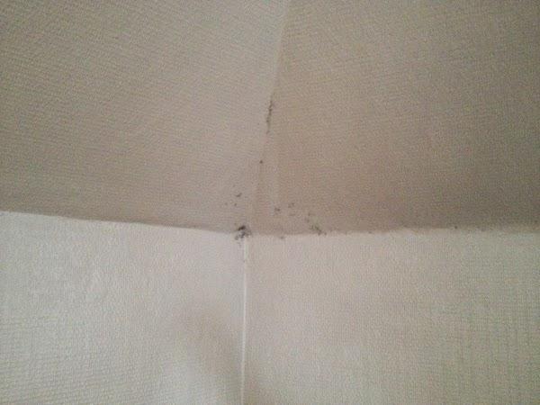 Imagen 4 Final Games foto