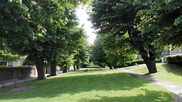 Imagen 32 Restaurante Los Chispos foto