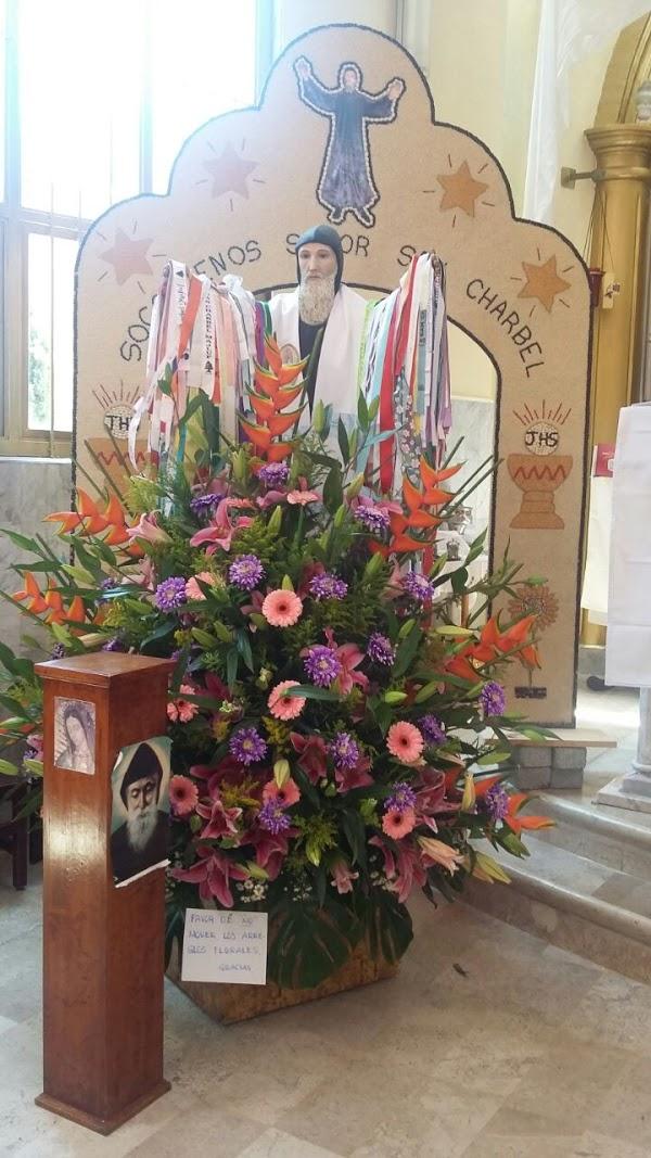 Imagen 37 Ergo Pilates foto