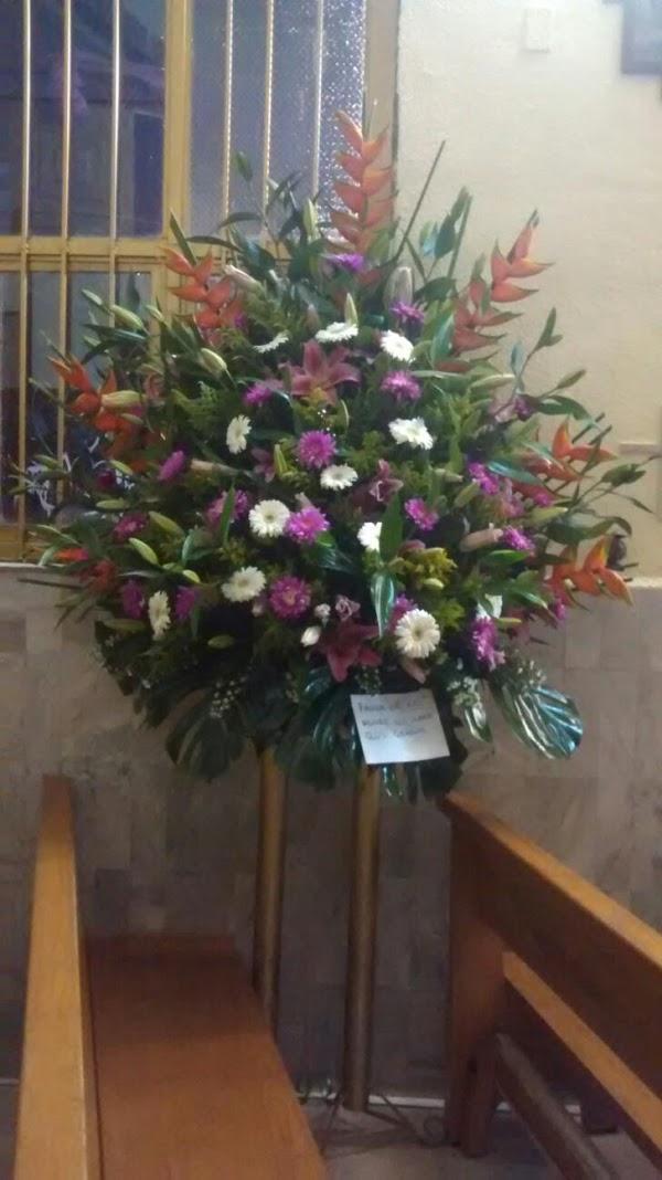 Imagen 50 Hostal Alcudia Sierra norte foto