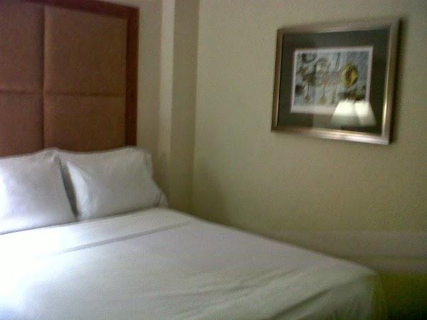 Imagen 14 Instituto de Educación Secundaria Ies Pedro de Luna foto