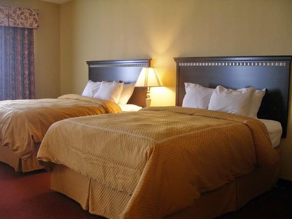 Imagen 3 Instituto de Educación Secundaria Ies Pedro de Luna foto