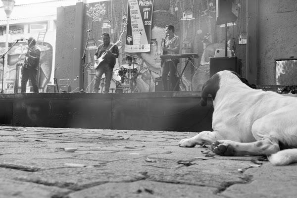 Imagen 26 Vinoteca El Lagar - Burgos foto