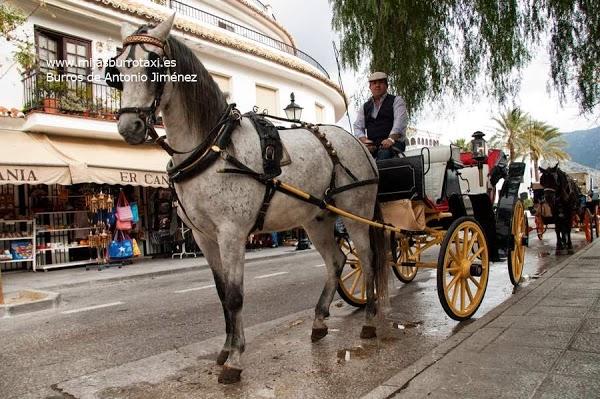 Imagen 27 City Ford (Parts Dist) foto