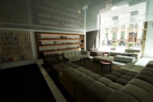 Imagen 20 Badi, Peluqueria Canina. foto