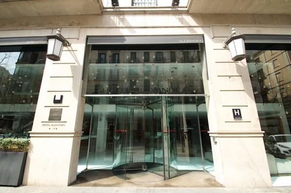 Imagen 28 Badi, Peluqueria Canina. foto