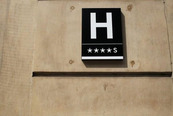 Imagen 29 Badi, Peluqueria Canina. foto