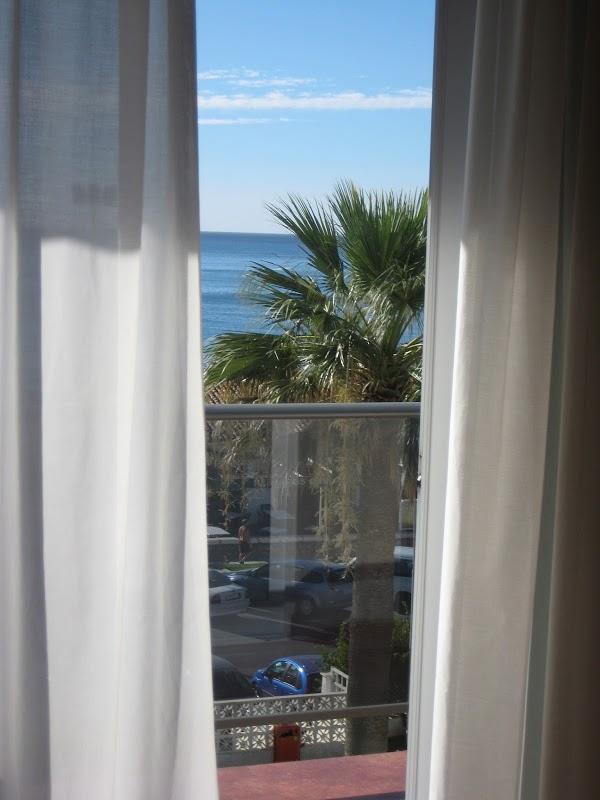 Imagen 32 Badi, Peluqueria Canina. foto