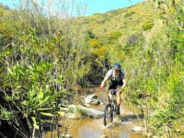 Imagen 3 Club Britania Mazatlan foto