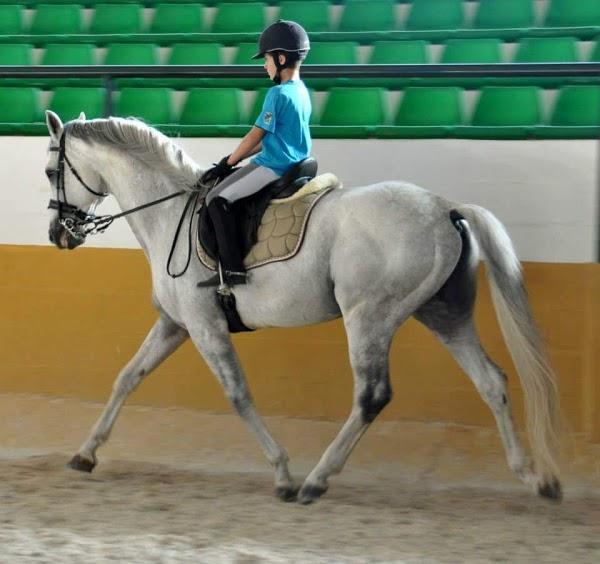 Imagen 21 Zabalgarbi foto