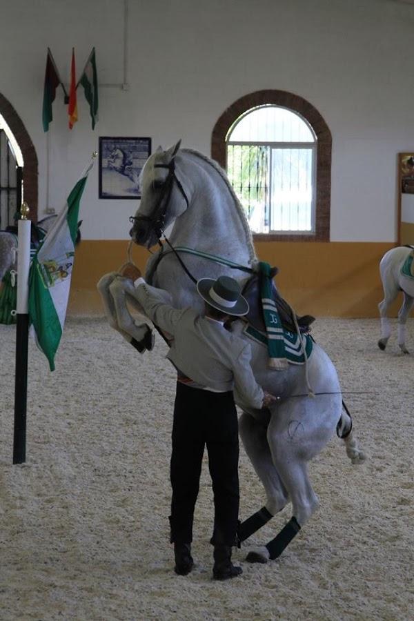 Imagen 7 Zabalgarbi foto