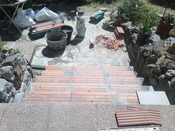 Imagen 14 Dachs foto