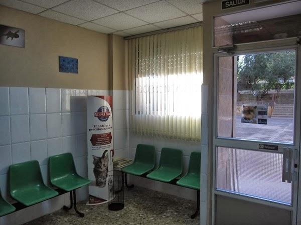 Imagen 25 DeportGym foto