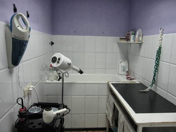 Imagen 32 DeportGym foto