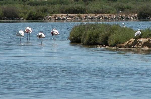 Imagen 5 DeportGym foto