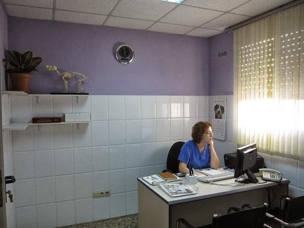 Imagen 44 DeportGym foto