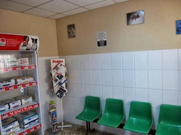 Imagen 46 DeportGym foto