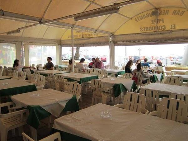 Imagen 6 Clínica Veterinària La Mola foto