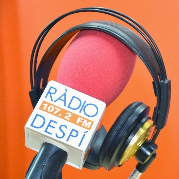 Imagen 18 Radio Despí foto
