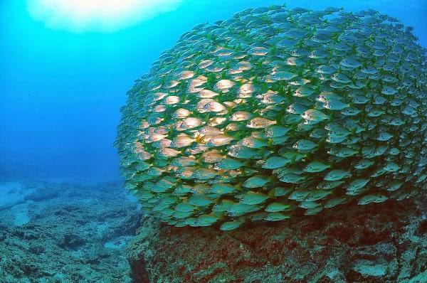 Imagen 22 Radio Despí foto