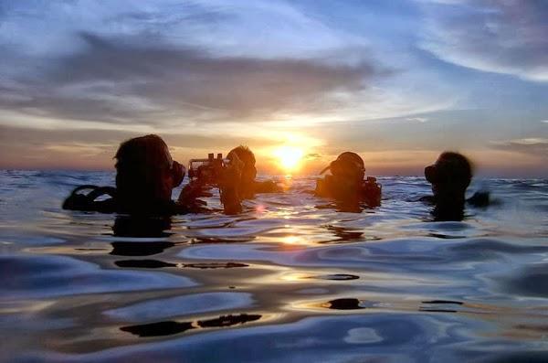 Imagen 79 Radio Despí foto