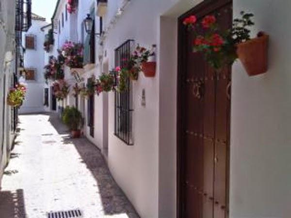 Imagen 30 Kalentito Tienda Erótica foto