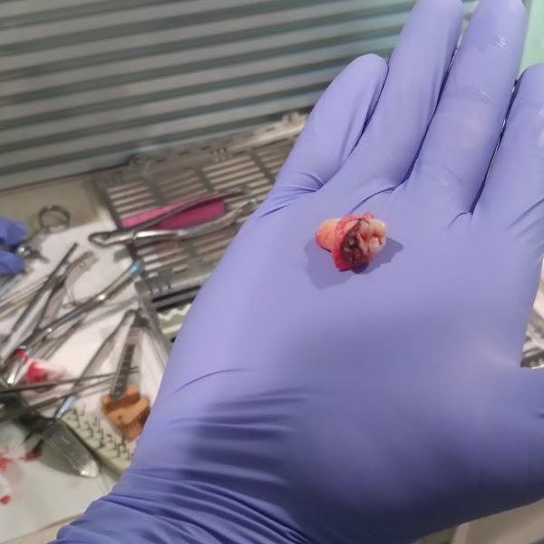 Imagen 53 Casa de Oración Juárez foto