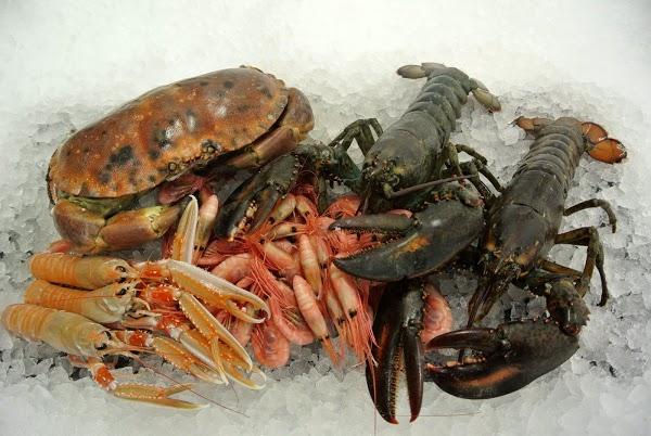 Imagen 8 Colegio Domingo Faustino Sarmiento foto