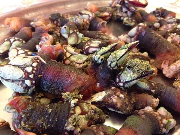 Imagen 2 Newport Central Catholic High School foto