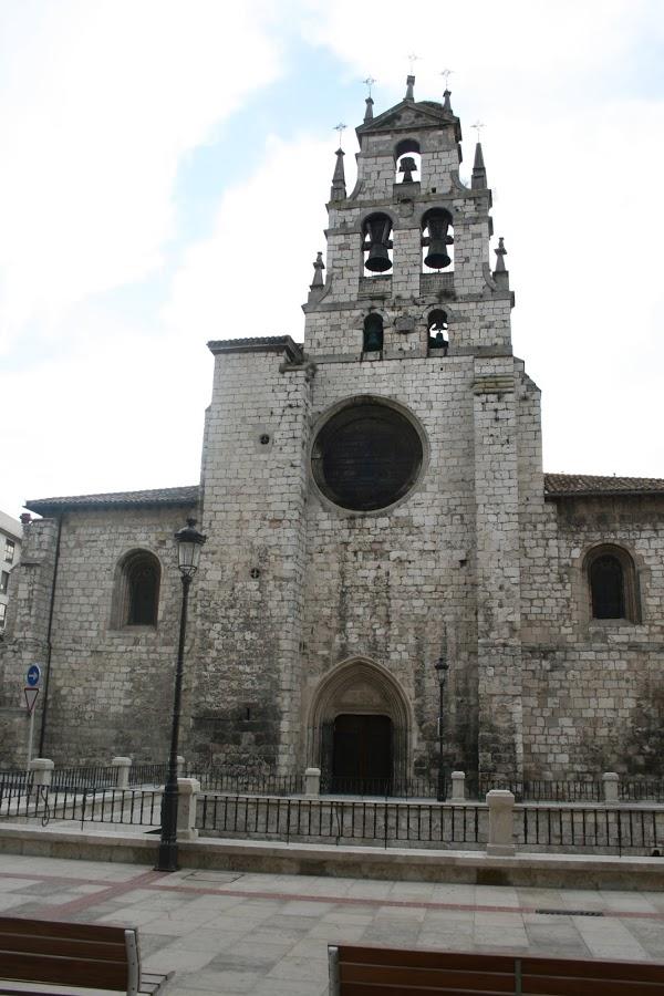 Imagen 11 Colegio Pio XII foto