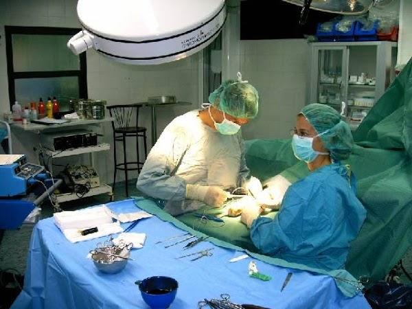 Imagen 14 Centro de Estética Antonia Gala foto