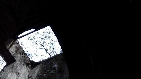 Imagen 70 Iglesia del Antiguo Hospital de San Lázaro foto